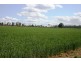 Wooroolin QLD 4608