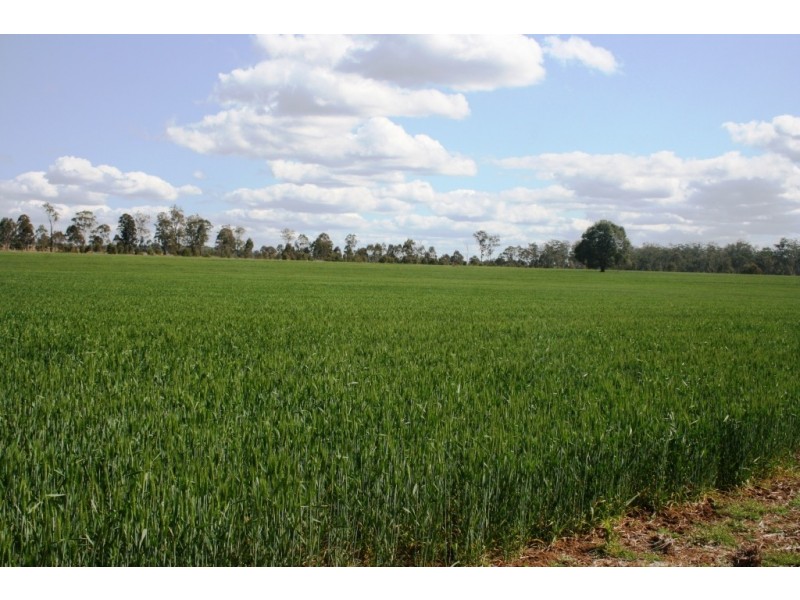 Wooroolin QLD 4608