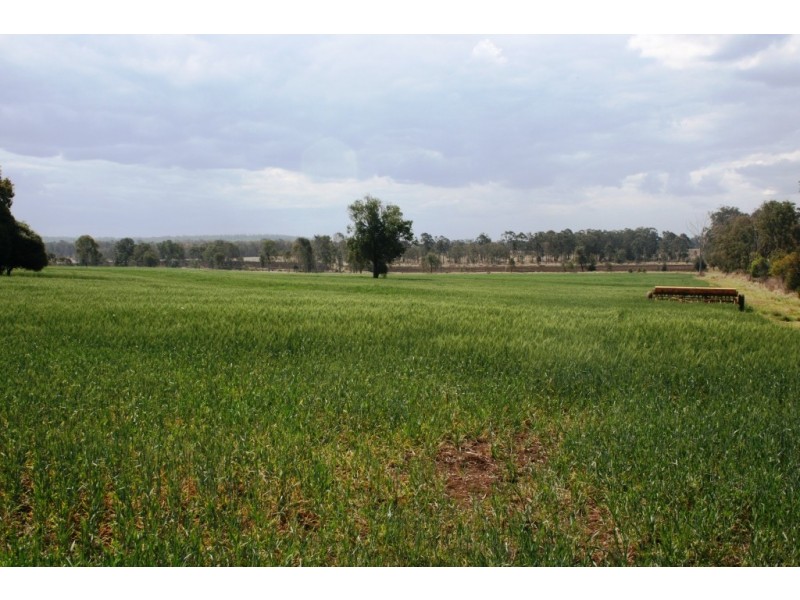 Wooroolin QLD 4608
