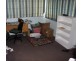 Kingaroy QLD 4610