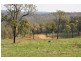 234 Wild deer drive, Blackbutt QLD 4306