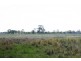 Wattle Grove QLD 4610
