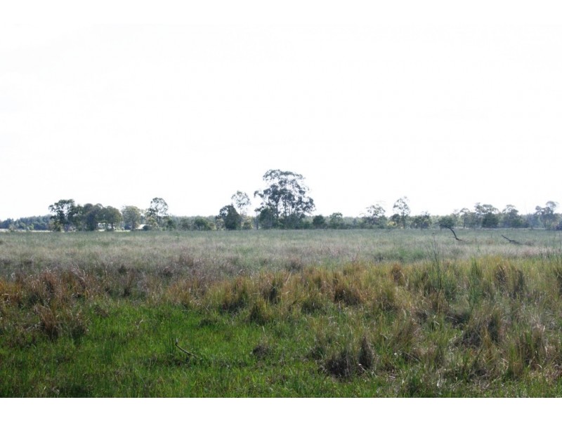 Wattle Grove QLD 4610