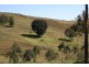 Kingaroy QLD 4610