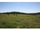 Kingaroy QLD 4610