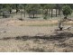 Wattle Camp QLD 4615