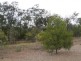 Wilkesdale QLD 4608