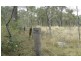 Wilkesdale QLD 4608