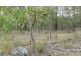 Wilkesdale QLD 4608