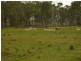 Kingaroy QLD 4610