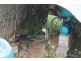 Tingoora QLD 4608