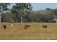 Kingaroy QLD 4610