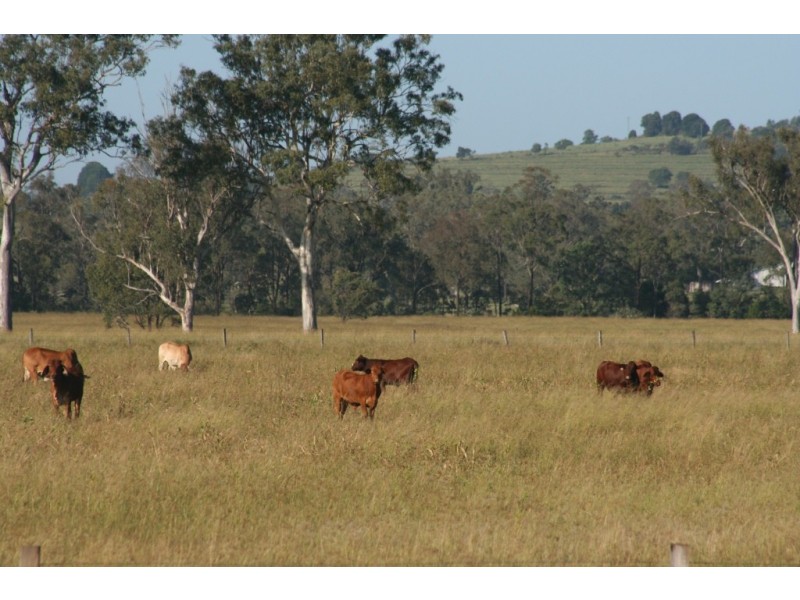 Kingaroy QLD 4610