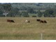 Kingaroy QLD 4610