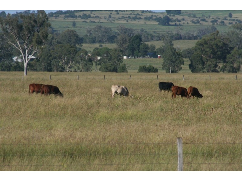 Kingaroy QLD 4610