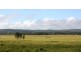 Kingaroy QLD 4610