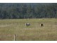 Kingaroy QLD 4610