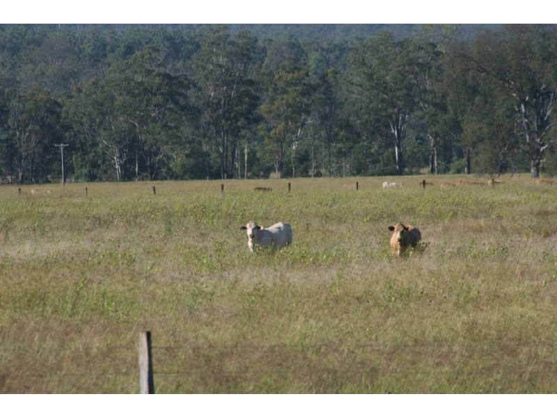 Kingaroy QLD 4610