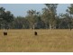 Kingaroy QLD 4610