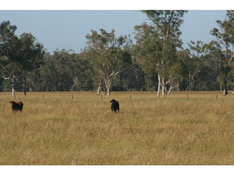 Kingaroy QLD 4610