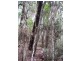 Booie QLD 4610