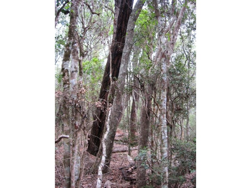 Booie QLD 4610