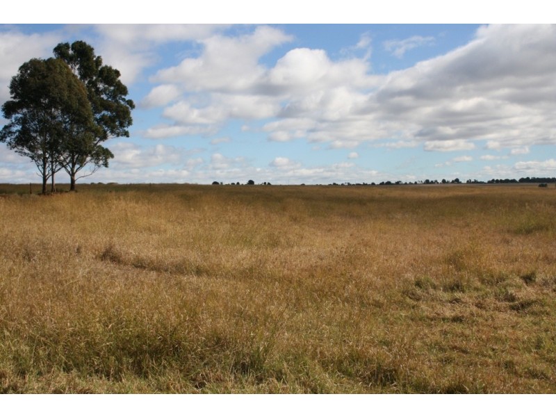 Wattle Grove QLD 4610