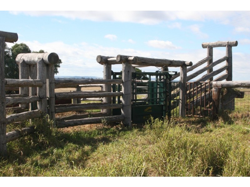 Wattle Grove QLD 4610