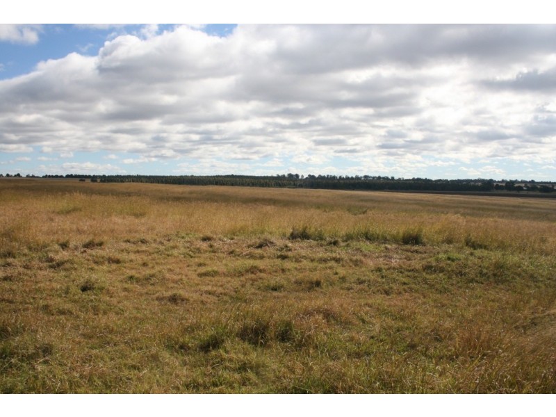 Wattle Grove QLD 4610