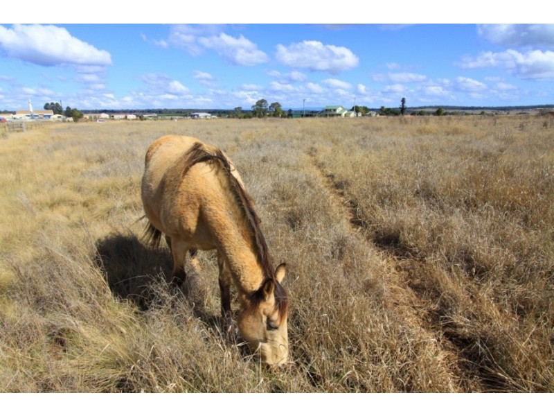 1-3 Irene Street, Kingaroy QLD 4610