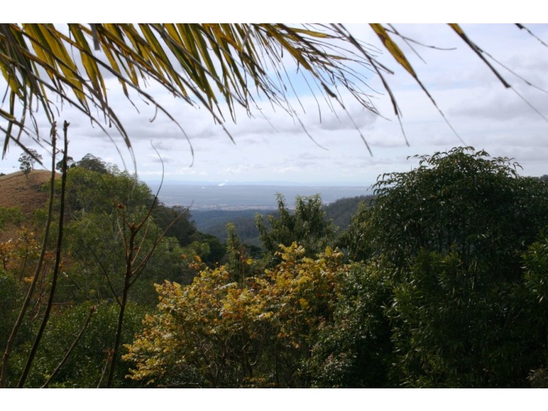 Bunya Mountains QLD 4405