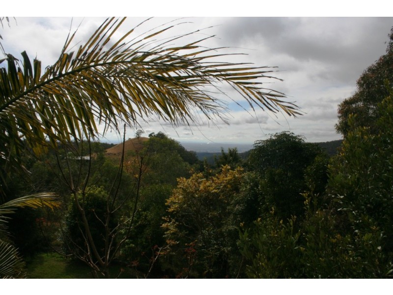 Bunya Mountains QLD 4405