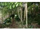 Bunya Mountains QLD 4405