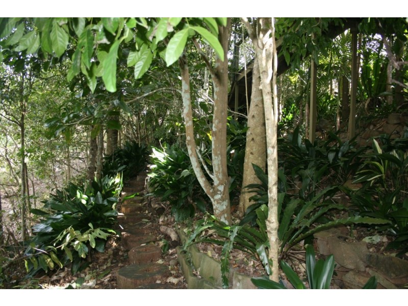 Bunya Mountains QLD 4405