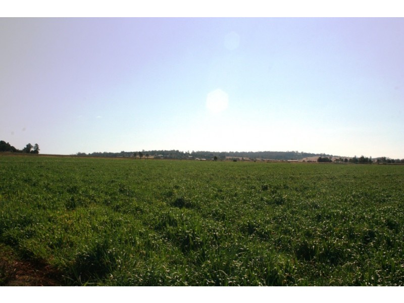 Kingaroy QLD 4610