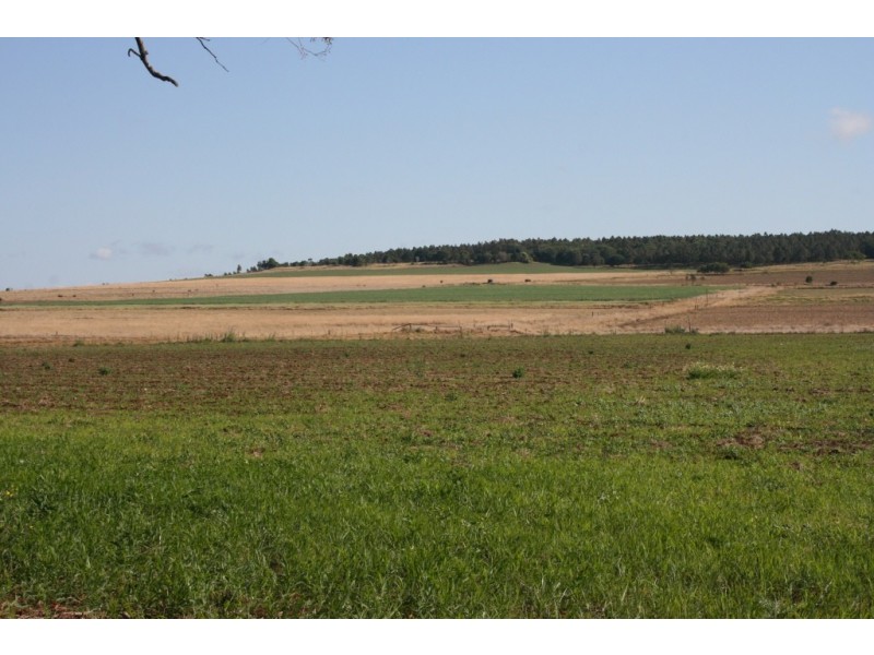 Kingaroy QLD 4610