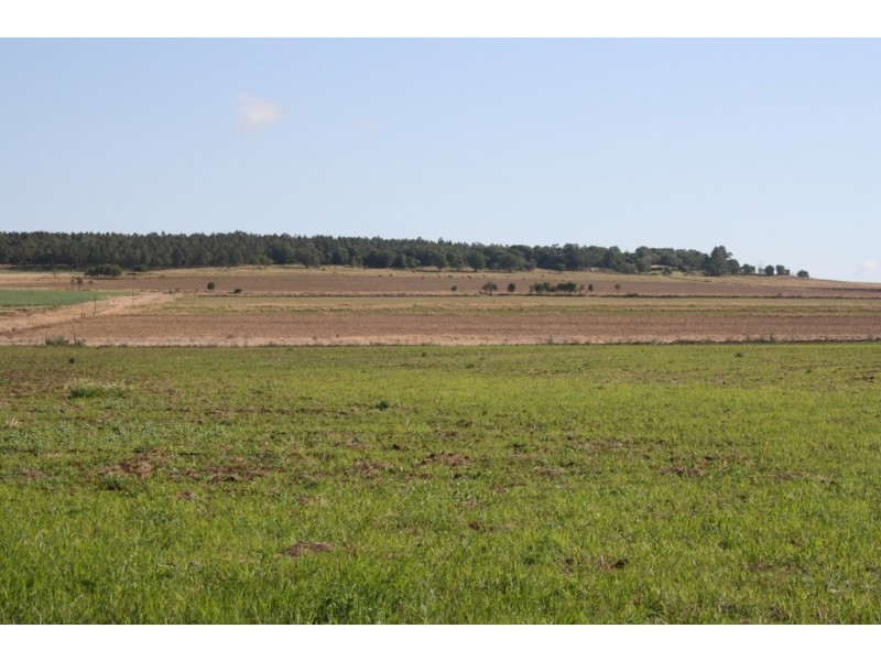 Kingaroy QLD 4610