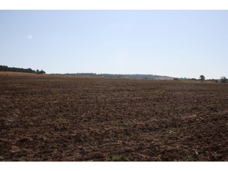 Kingaroy QLD 4610