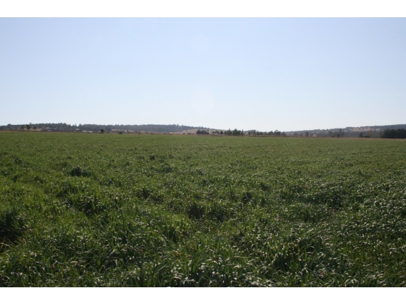 Kingaroy QLD 4610