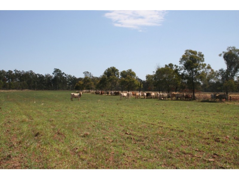 Gordonbrook QLD 4610