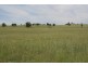 Kingaroy QLD 4610