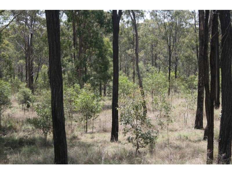 Wattle Camp QLD 4615