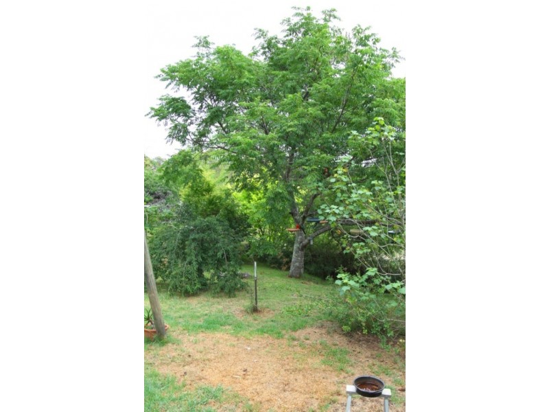 Lot 39 Tolmie Street, Bunya Mountains QLD 4405