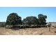 Kingaroy QLD 4610
