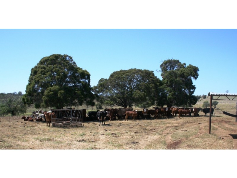 Kingaroy QLD 4610