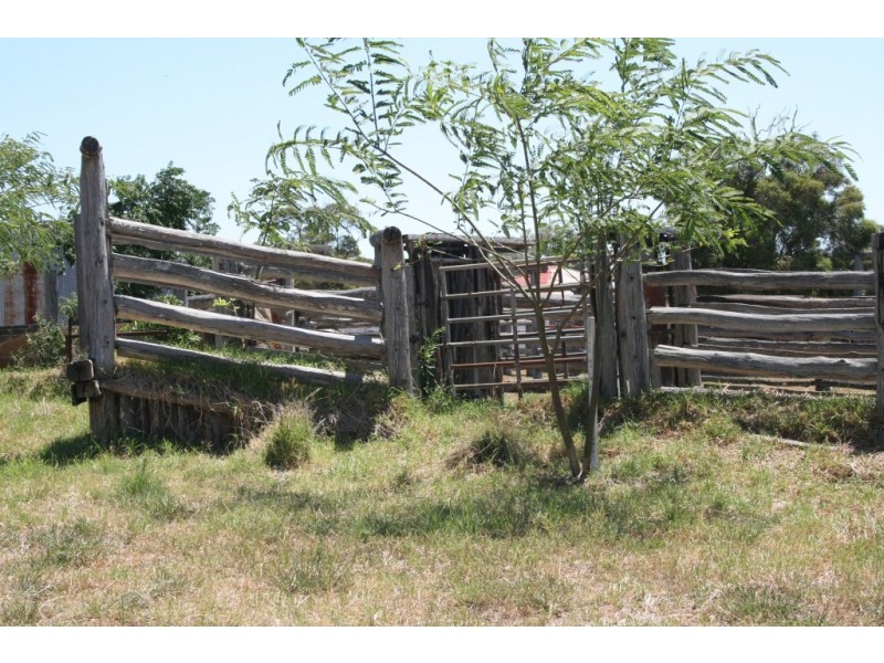 Kingaroy QLD 4610