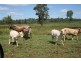 Nanango QLD 4615