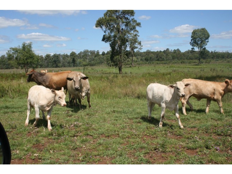 Nanango QLD 4615