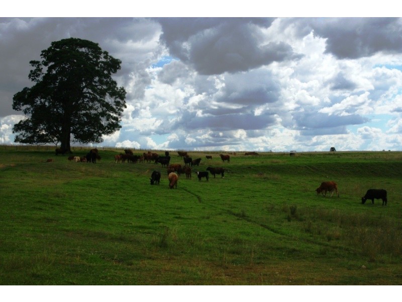Mannuem QLD 4610