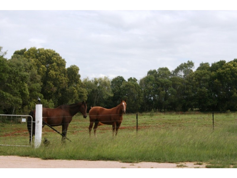 Kingaroy QLD 4610